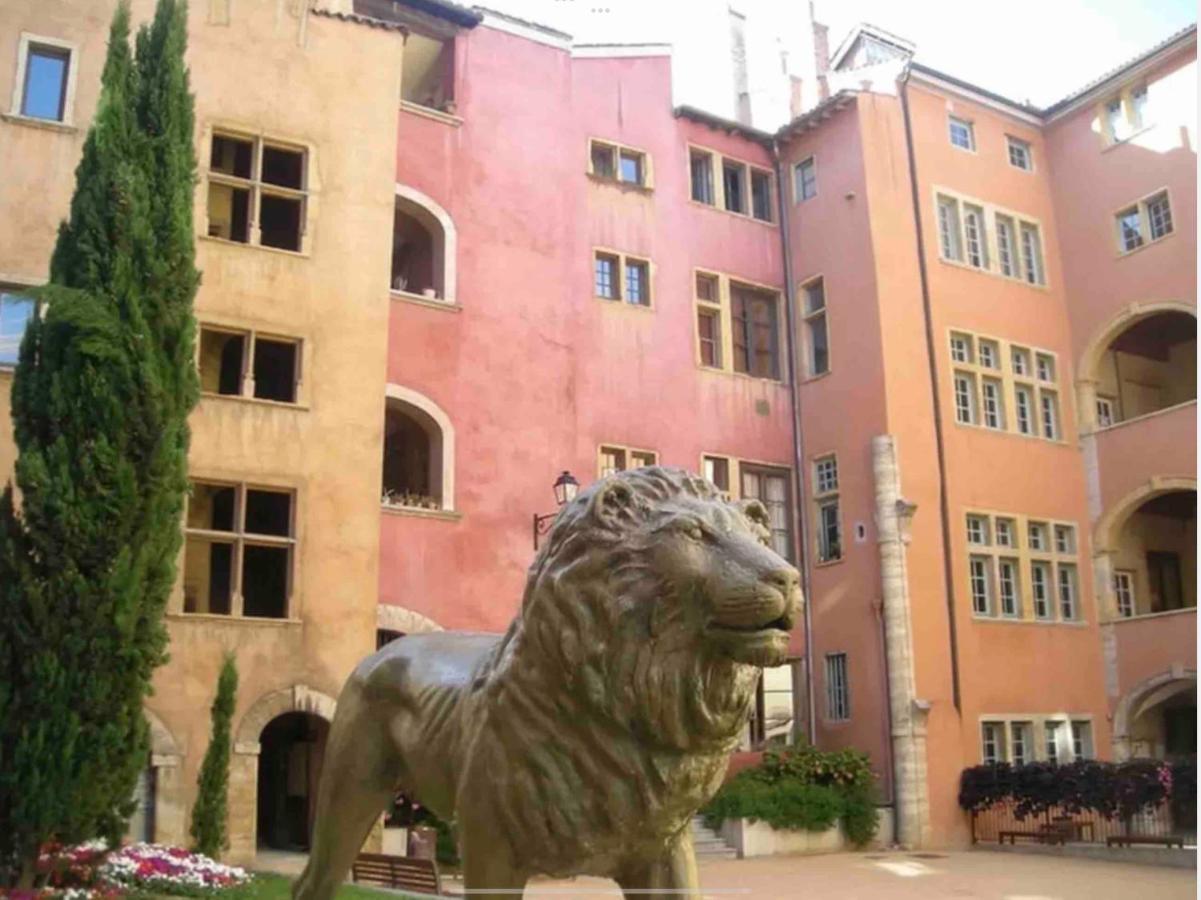 Apartamento Beau Duplex Avec Jardin Et Vue Lyon